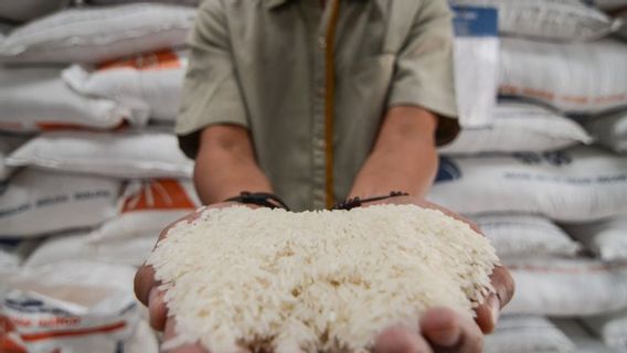 بشرى سارة من وزير الزراعة سيهرول، مخزون الأرز الوطني كاف حتى عيد الفطر 2023