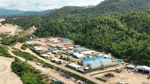 MDKA Ungkap Proyek Tambang Bawah Tanah Tujuh Bukit Diperkirakan Mencapai 1,5 Miliar Dolar AS
