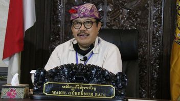 Wagub Cok Ace: Pemerintah Pusat Sudah Kirim Satu Juta Lebih Dosis Vaksin COVID-19 ke Bali 