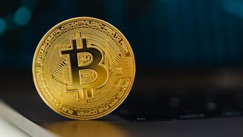 Bitcoin Tembus Rp1 Miliar, Apakah Bisa Terus Meroket? Begini Jawabannya!