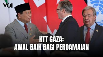 President Prabowo Subianto Explains The Contents Of The Gaza Summit, A Good Start For Peace