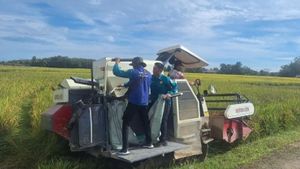 BPS Catat Nilai Tukar Petani Sumsel Turun 2,10 Persen di Juni 2025