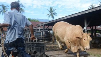 Nagan Raya Aceh的居民 今天早些时候祈祷宰牲节