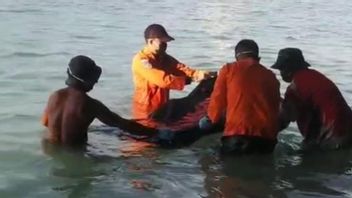ロスト・イン・ザ・プランテーション、この男は58キロ離れたリクパンミヌートビーチで発見されました