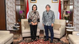 Sri Mulyani Bertemu Bos Bank Dunia, Apa yang Dibahas?