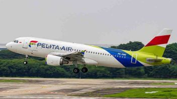 Garuda Boss About Merger With Pelita Air: Still In The Stage Of Talks With Danantara