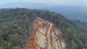 LPP-Tipikor NGO Holds Action, Demands Illegal Mining Closure In East Halmahera