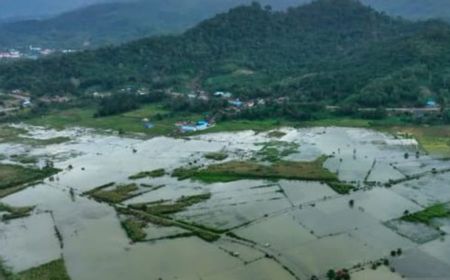 Sungai Aworeka Meluap, 400 Hektare di Konawe Sultra Terendam Banjir