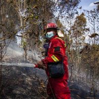 Mitigasi Bencana, Kemenhut Petakan Daerah Rawan Karhutla
