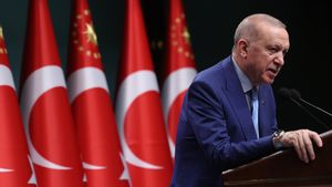 Erdogan: Perang AS-Israel Lawan Iran Mulai Lemahkan Eropa