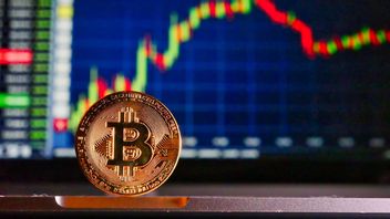 bitcoin s’est effondré après la coupure tribale de la Fed, les analystes expliquent la raison