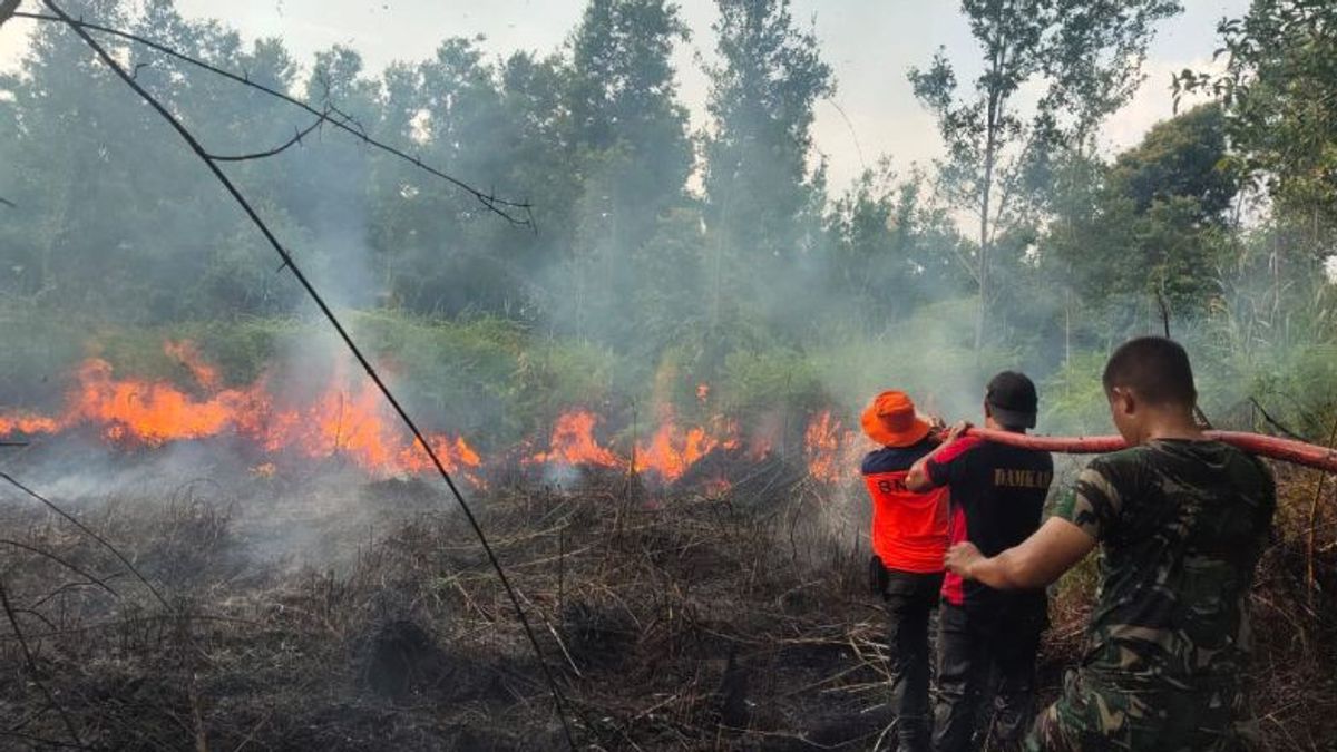 Joint Officers Put Out 26 Hectares Of Burned Land In South Barito