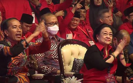 Gerindra Ogah Komentar soal Jokowi Dipecat PDIP, Dasco: Belum Pernah Dibahas Partai