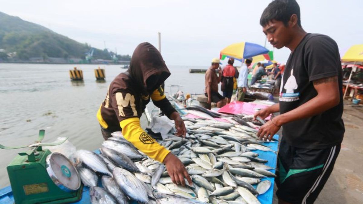 Peran Stelina terhadap Kemudahan Ekspor Perikanan Tanah Air