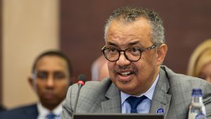 WHO Calls for Entry of Essential Medicines to Rebuild Gaza Health Services