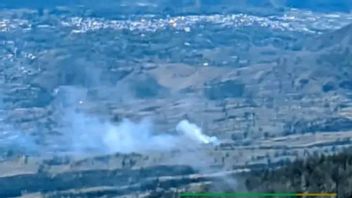 ダルカルフトはリンジャニ山の陸上火災を消火