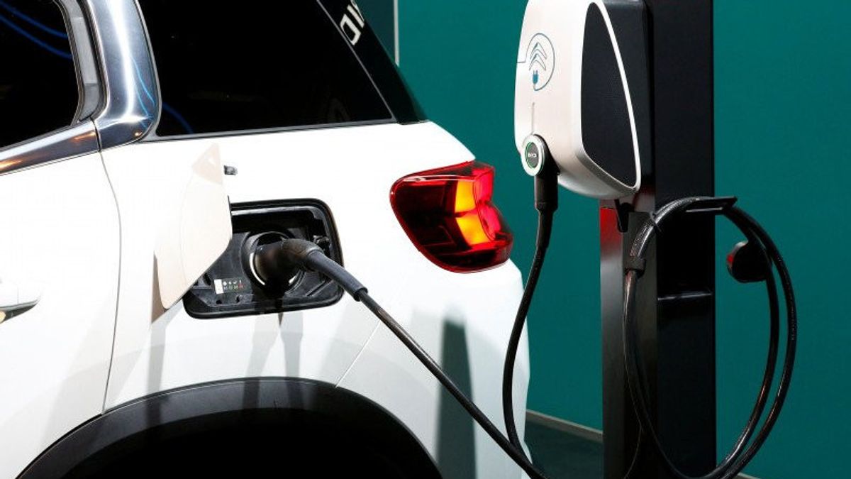 Regarding Electric Vehicle Policy, Observers Say More Profits For Investors