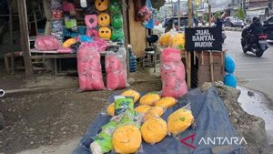 Penjual Bantal Mudik di Karawang Raup Untung Besar Jelang Hari Raya Idulfitri