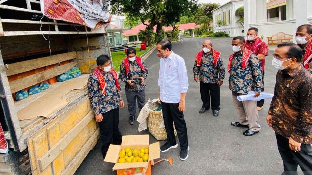 Jokowi يحصل على 1 شاحنة من البرتقال ، KPK يذكر الناس لا تعطي السلع فقط لمسؤولي الدولة