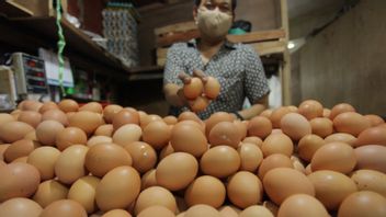 Denying Egg Prices Rising, Deputy Minister Of Trade Jerry Sambuaga: Relatively Stable