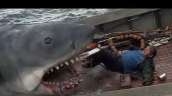 Jaws 电影的成功对鲨鱼的声誉产生了负面影响， 原因是什么？ 