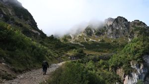 Kenapa Mual Saat Naik Gunung? Ketahui Penyebab dan Cara Mengatasinya