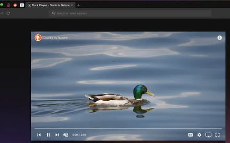 Pengguna Mac Sekarang Bisa Jajal Browser yang Diklaim Paling Aman DuckDuckGo