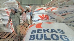 Bulog Serap 800.000 Ton Beras Petani hingga Semester I 2024