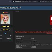 久违，Bjorka带着4400万MyPertamina数据回归