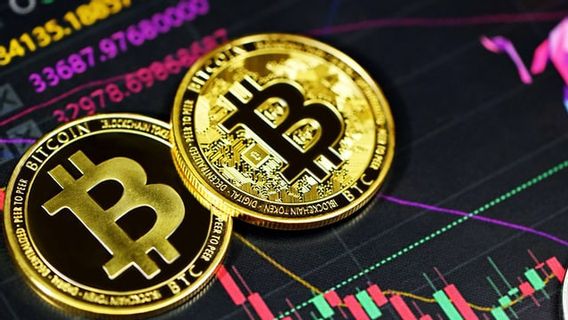 Harga Bitcoin Tergelincir di Bawah 20.000 Dolar AS, Presiden Nayib Bukele Minta Investor BTC Bersabar