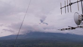 Mount Semeru Eruption Again With An Eruption Height Of 800 Meters