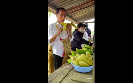 Kenakan Kemeja Putih dengan Noken, Jokowi 'Terciduk' Mampir ke Pedagang, Lahap Makan Jagung Rebus