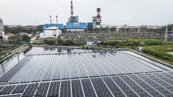 Energi Terbarukan Dunia Naik 15,5 Persen, Rekor Tercipta saat Krisis Energi Mengintai