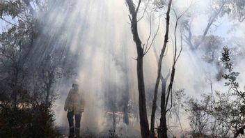 BMKG 東カリマンタンの干ばつ予測 2023 年 6 月から、すべての当事者は森林火災と陸上火災に注意するよう求められます