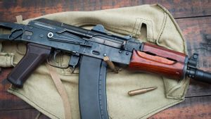 新狮子在雇主咬死后由AK-47饲养