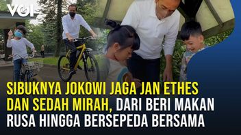 视频：Jokowi正忙于照顾Jan Ethes和Sedah Mirah，从喂鹿到一起骑自行车