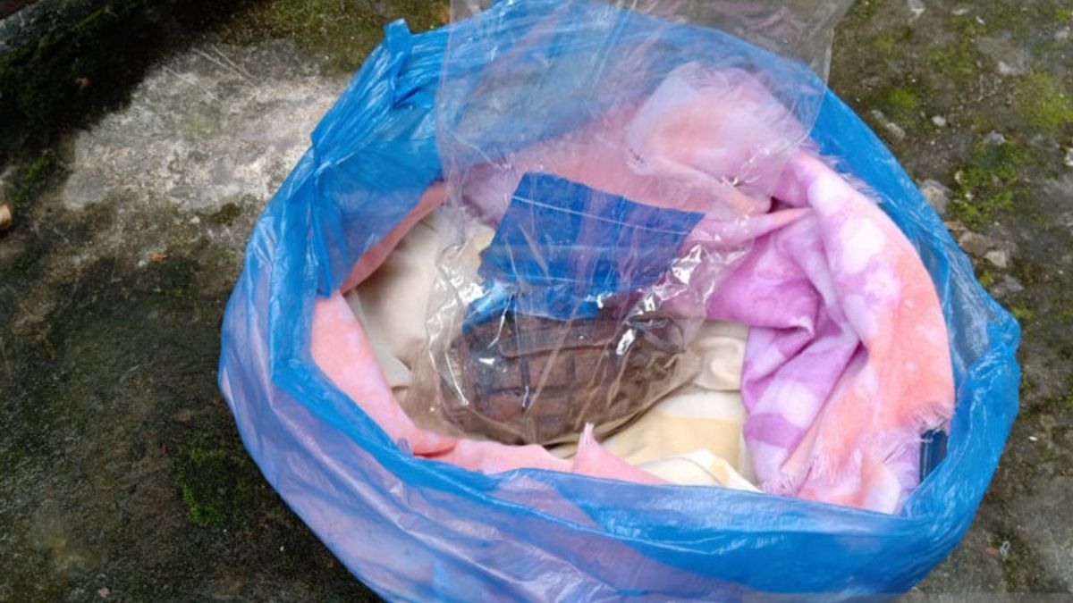 Warga Jambi Temukan Granat Nanas saat Bersih-bersih Rumah, Danramil: Masih Aktif dan Berbahaya