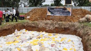 Balai Karantina Sumut Musnahkan 14,6 Ton Mangga Ilegal Asal Thailand
