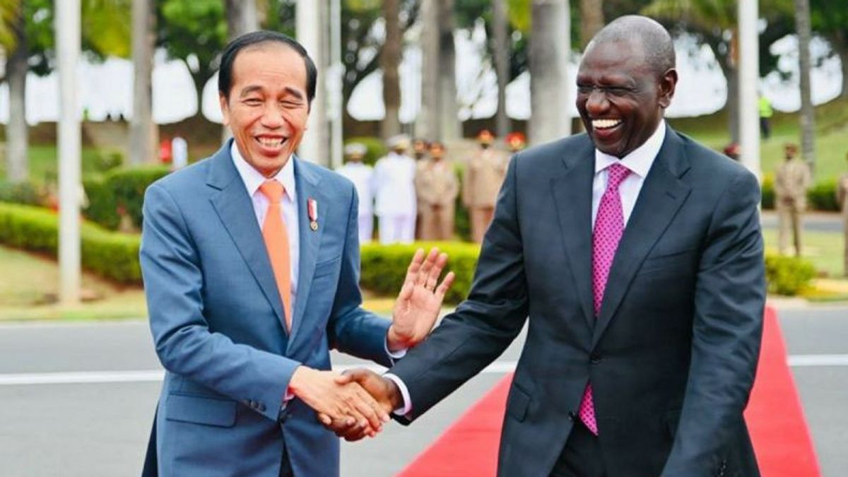 Jokowi's Status Present At The South African BRICS Summit, Invited Guests