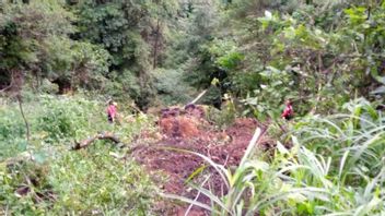 Pengemudi Truk Masuk Jurang Hilang di Padang