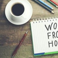 Kebijakan WFH Tidak Efektif Tanpa Pengawasan Ketat dan Variabel Paksaan