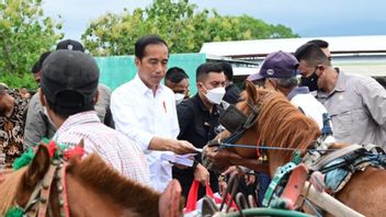 Survei SMRC: Publik Sangat Puas dengan Kinerja Jokowi Tapi Tak Berarti Harus Terus Berkuasa