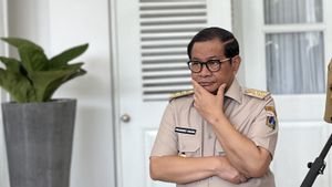 Jakarta Resmi Larang Konsumsi Daging Anjing dan Kucing