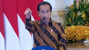 Soal Konflik di Pulau Rempang Batam, Jokowi: Masa Harus Presiden Turun Tangan