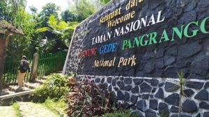 Diduga Kedinginan, Pendaki Asal Depok Ditemukan Tewas di Gunung Gede Pangrango 