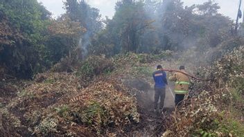 75 Hektare Hutan Kota di Bangka Tengah Terbakar