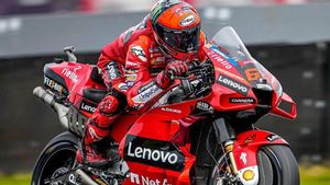 Hasil MotoGP Belanda 2022: Quartararo Jatuh, Bagnaia Juara