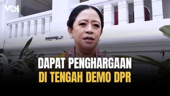Puan Maharani在DPR的Demo中间获得奖项