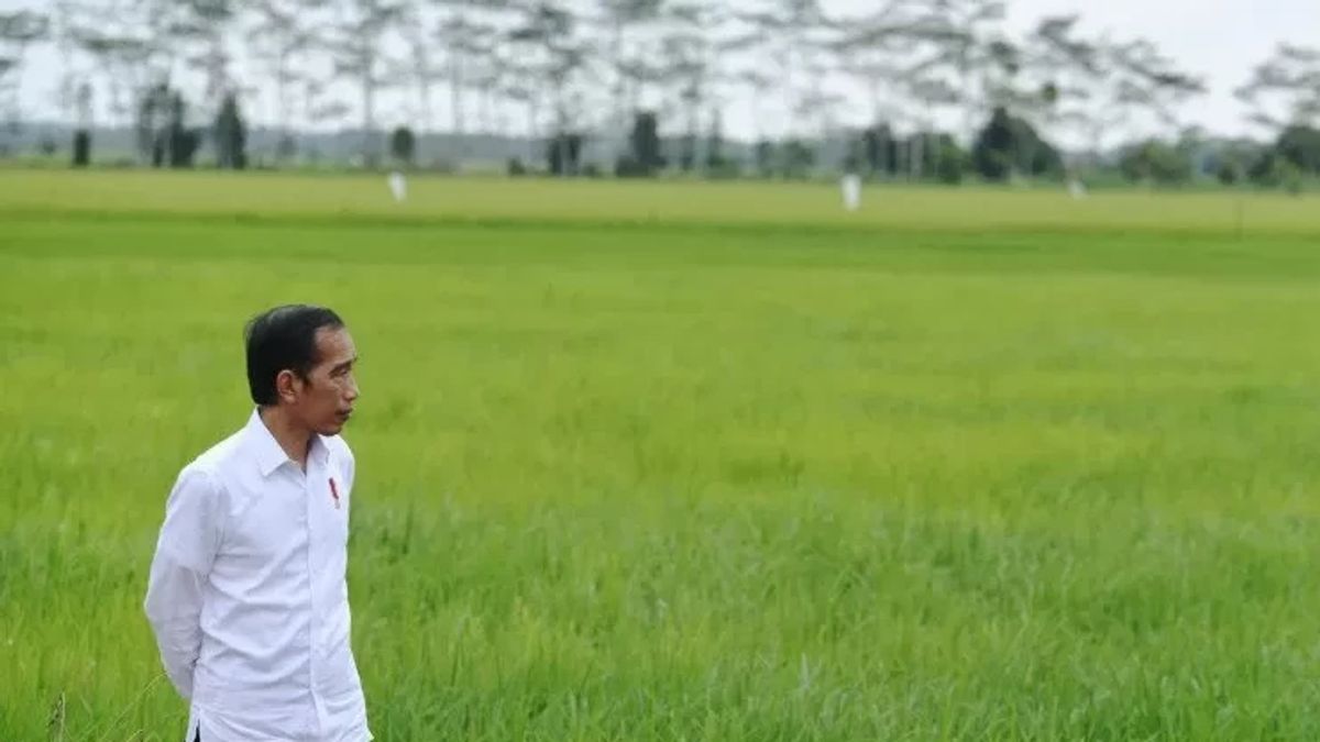 L’inauguration officielle de Margatiga, Jokowi Dorong augmente la production agricole dans l’est de Lampung