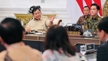 Presiden Prabowo Pimpin Rapat Terbatas Kawasan Ekonomi Khusus, Tentang Investasi Dan Tenaga Kerja